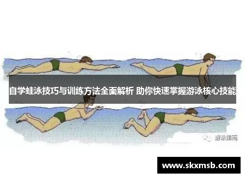 自学蛙泳技巧与训练方法全面解析 助你快速掌握游泳核心技能